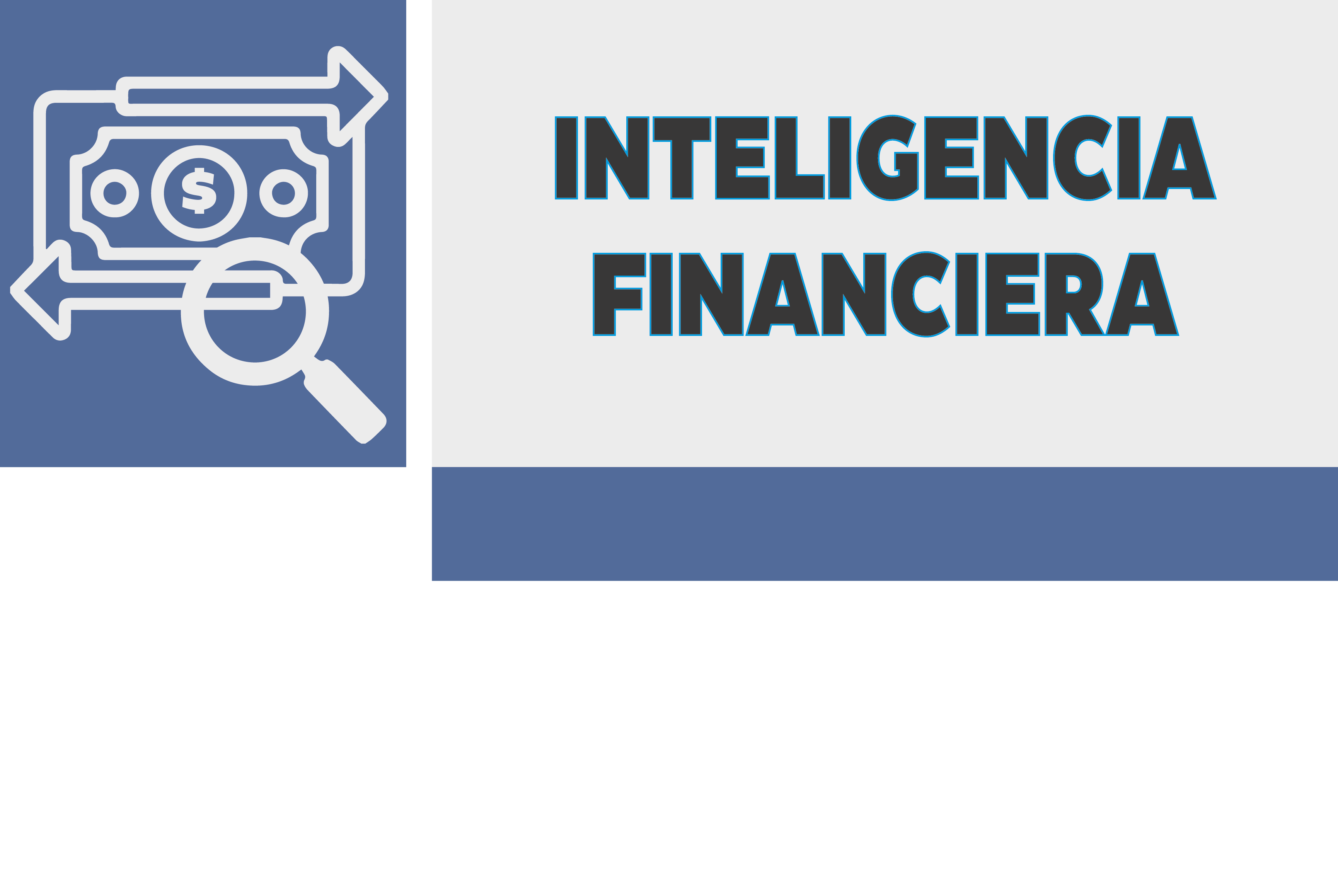 Inteligencia Financiera