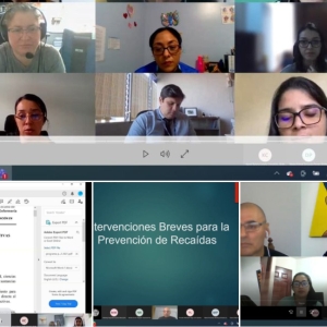 Curso Prevención de Recaídas para Profesionales