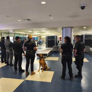 Ejercicio TTD, octubre 3 (autoridades).