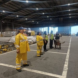 Ejercicio TTD, octubre 7 (Rev vuelo carga).