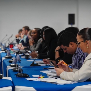 Reunión de Expertos CICADOEA (2)