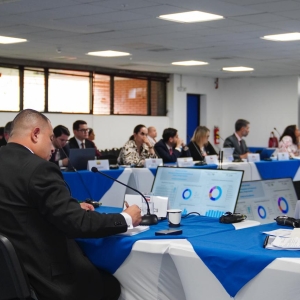 Reunión de Expertos CICADOEA (4)