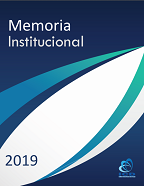 Memoria ICD 2019
