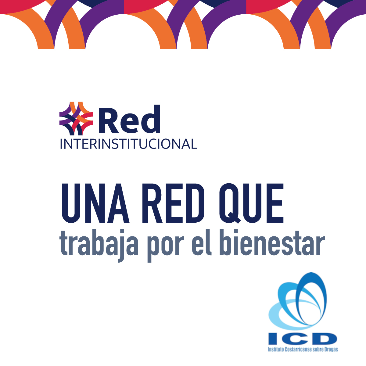 UNA RED QUE trabaja por el bienestar, Red Insterinstitucional