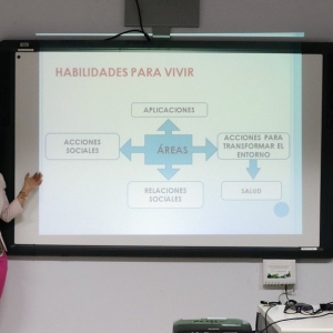 Presentación Habilidades para la Vida ICD