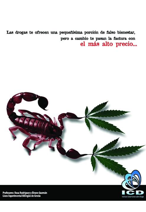 Afiche escorpión con hojas de marihuana en las tenazas.