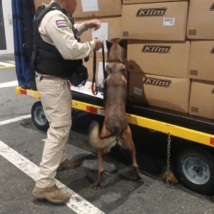 Ejercicio TTD, octubre 6 (canina).