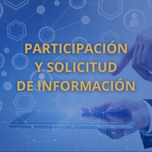 Acceso a información de participación y solicitud de información institucional